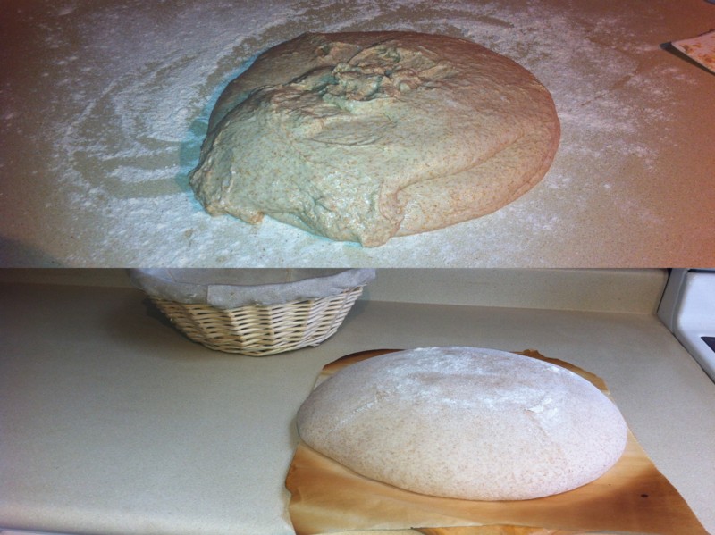 Miche Point a Calliere from Jeffrey Hamelman's "Bread" The Fresh Loaf